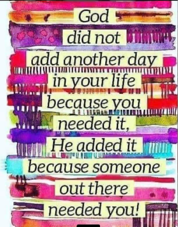 ieream's tweet image. To you,yes you!!
Reminder to self 👇👇