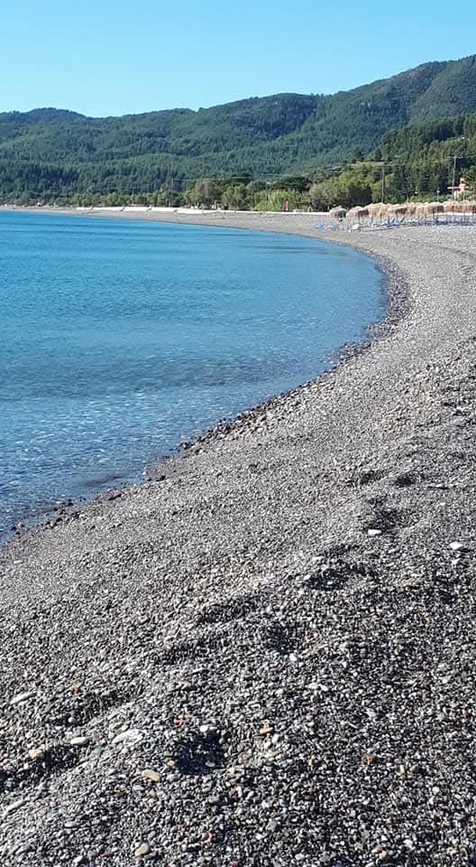 Βασιλικά..Ψαροπουλι..Εύβοιας..