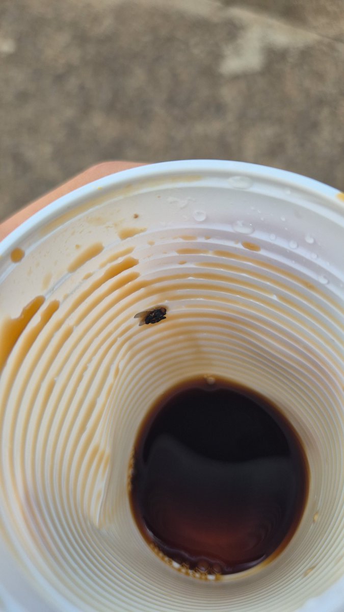 matt_cvm's tweet image. café do RA tava temperado com mosca hoje 😍 e eu tomei o copo quase todo pqp