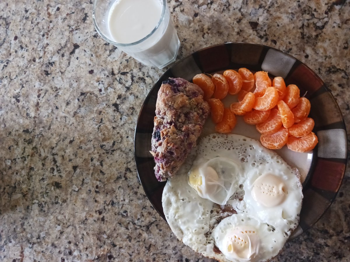 Raw milk + oranges + eggs + homemade scone = 💪