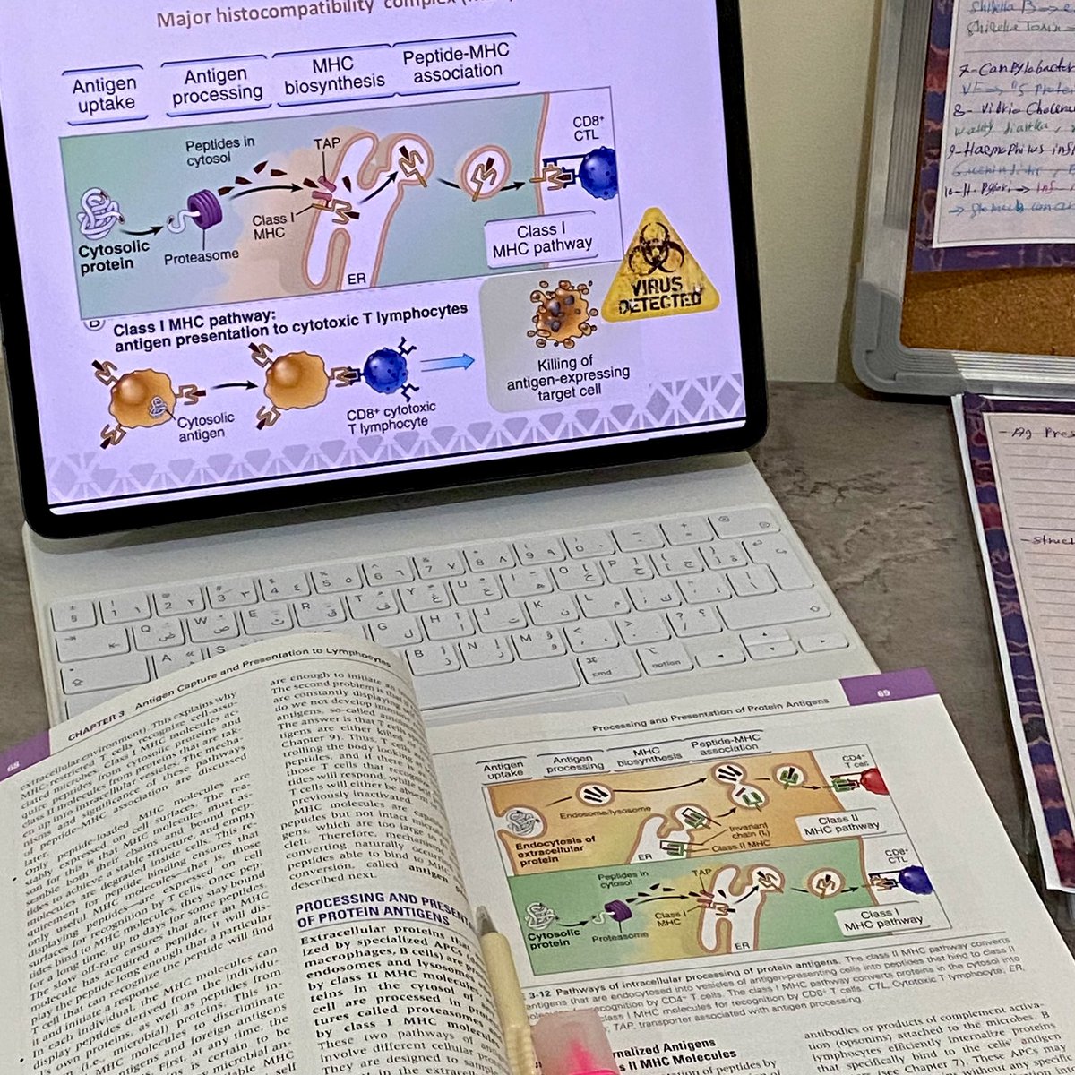 Second year is DONE ✅
كانت سنة صعبة وممتعة بنفس الوقت
الحمدلله دائمًا وابدًا