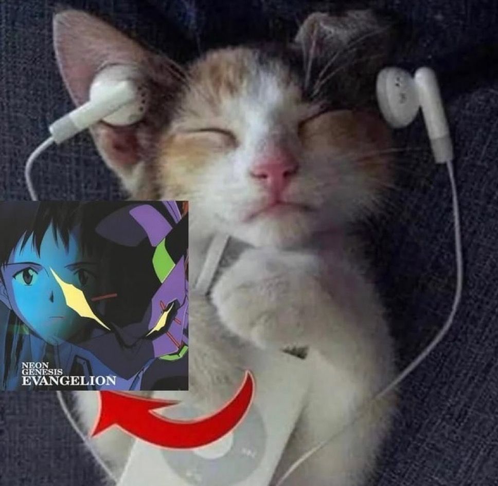 Listening to Hedgehog's Dilemma be like: