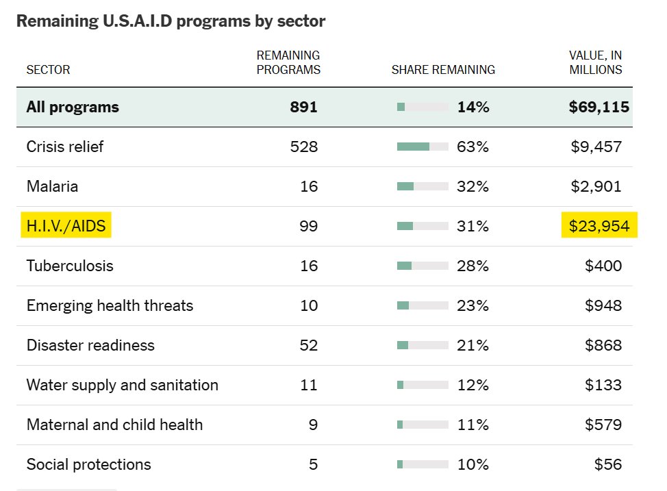RealJarTaylor's tweet photo. When Trump took office, there were 6,256 USAID programs that cost $120 billion. About 5,364 programs have been cut, but the 891 that remain still cost $69 billion. 

HIV handouts, which mostly keep African AIDS carriers alive, cost the most, at $24 billion. CUT IT ALL. https://t.co/tuh0zVfwDP