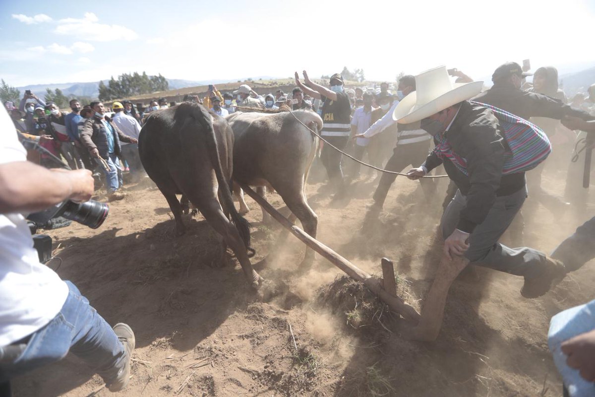 PedroCastilloTe's tweet photo. Hoy, en nuestro Día del Campesino, que la verdad de nuestra historia, el caudal inagotable de nuestra sabiduría y la fortaleza de nuestro espíritu milenario sigan resistiendo desde todos los rincones de la Patria maltratada.

Que la fuerza de nuestros sueños, la bondad de nuestro esfuerzo cotidiano y nuestro trabajo (que sostiene, sin descanso, la vida de todos los peruanos) sigan trazando los caminos para la reivindicación de nuestros pueblos, con todas sus sangres y todas sus razas.

Hermano campesino: en nuestras manos se sostiene el presente, y en nuestros sueños, el futuro del Perú. 

A pesar de mi encierro; mi corazón siempre vive en los campos de mi tierra, de la tierra que es nuestra, como nuestra es la esperanza.

¡Tengamos un Feliz Día, Hermanos Campesinos!

Pedro Castillo Terrones
Presidente Constitucional del Perú