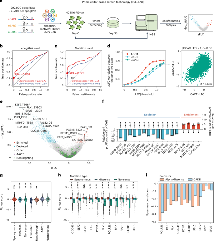Nature Biotechnology (@naturebiotech) on Twitter photo Prime editor-based high-throughput screening reveals functional synonymous mutations in human cells - <a href="/PKU1898/">Peking University</a> bit.ly/4llylGS Prime editor-based high-throughput screening reveals functional synonymous mutations in human cells - <a href="/PKU1898/">Peking University</a> bit.ly/4llylGS