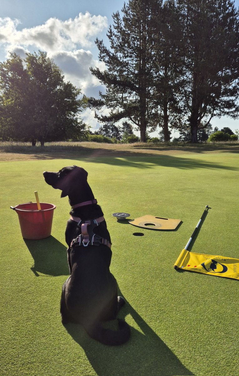 Great to deliver <a href="/RandA/">The R&A</a> Regional Open Qualifying <a href="/gogmagog_golf/">The Gog Magog G.C.</a> yesterday with <a href="/GogMagogTeam/">Gog Magog Estates Team</a> continuing to impress. 

Surfaces performing beautifully throughout the day to provide that typical Gogs test. Firm, fast &amp; fair ...

2nd half of the season awaits ⛳️