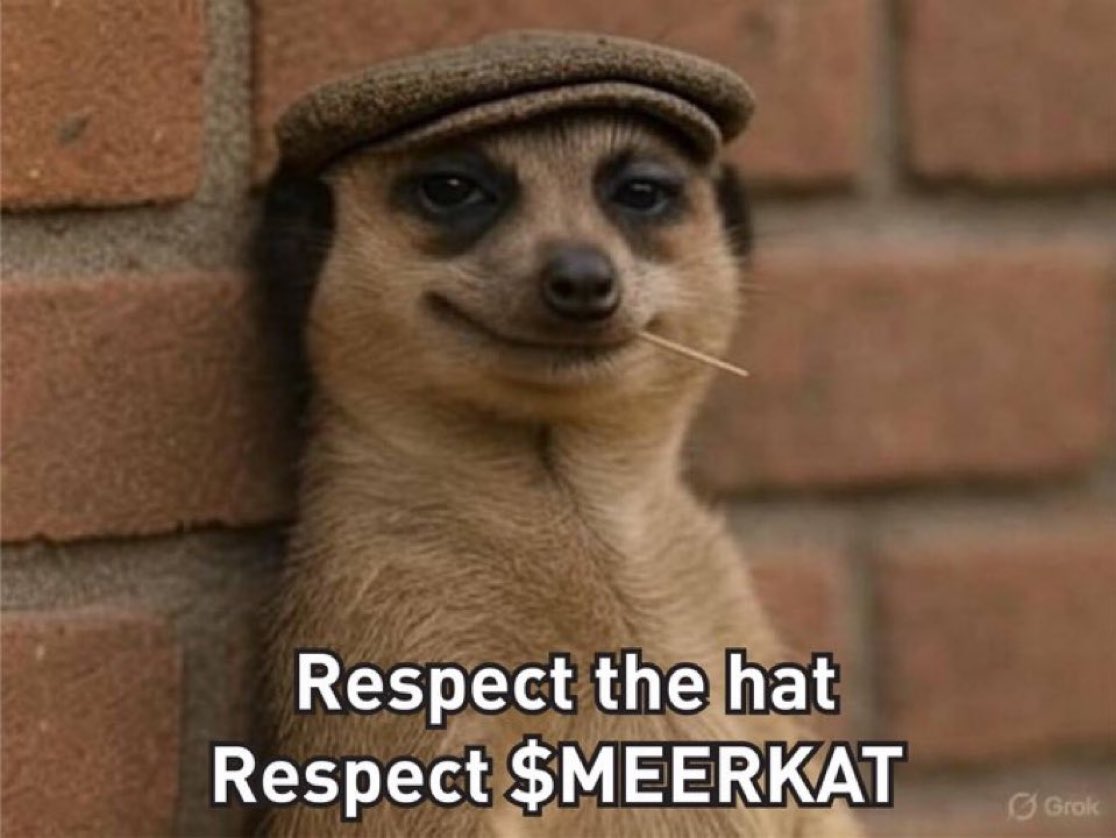 GemperorWF's tweet photo. @Nxive100x Meerkat https://t.co/JbVwnJ0fp3