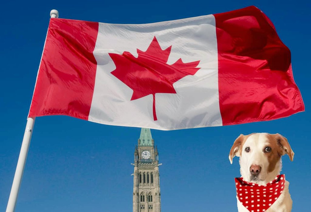 #CanadaDay is on July 1st! I will be doing a draw again! Stay tuned on Canada Day! 🇨🇦