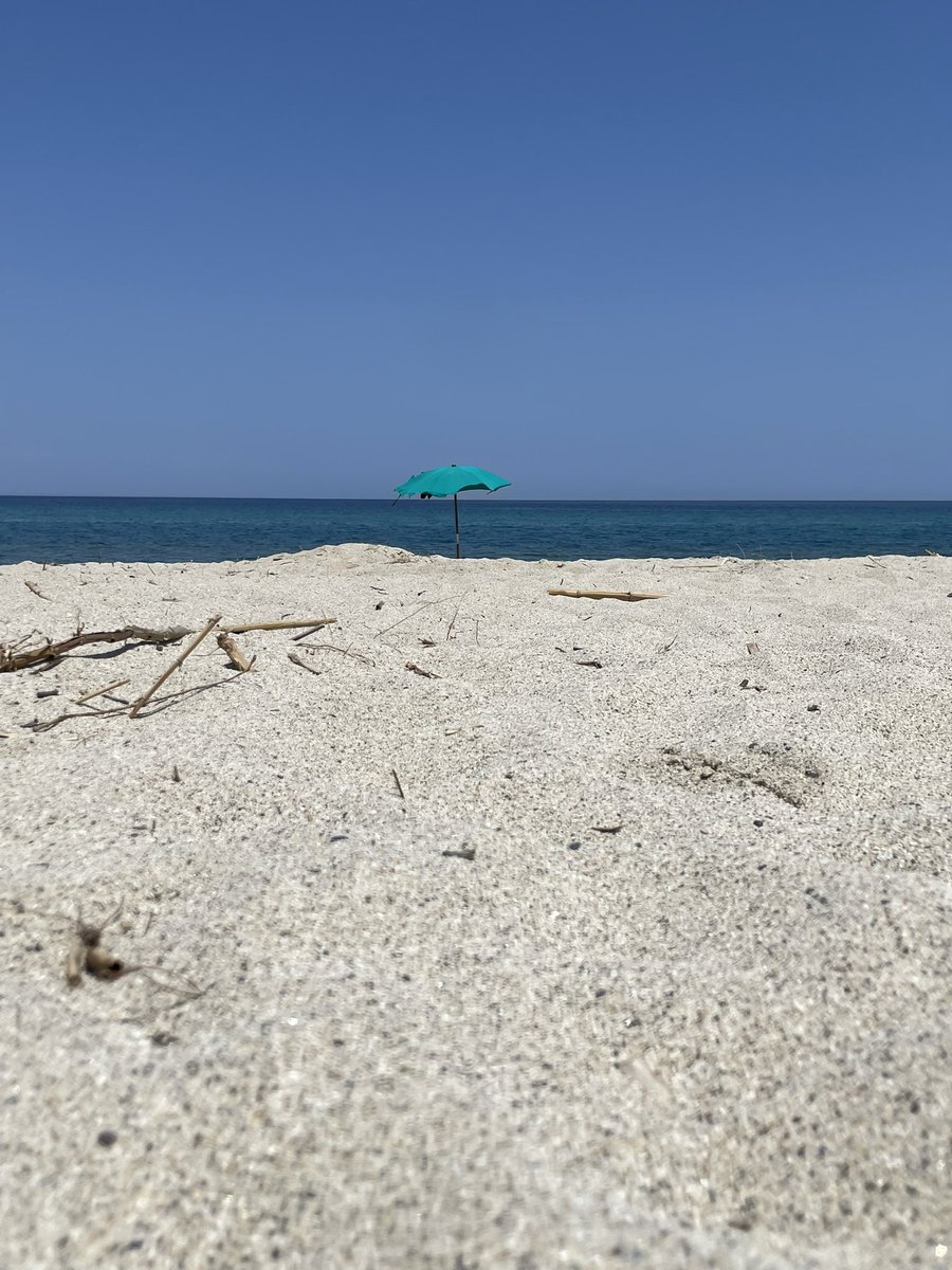 Nensi Coseani tweet media