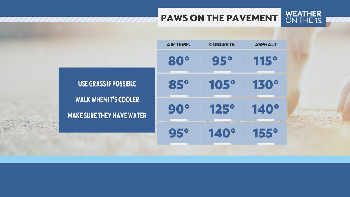 wxashleystanley's tweet image. Consider your pets safety this summer. It is best to leave your dogs inside during the afternoon hours, save walks for the morning or late evening. If you need to take them out, make sure they stay on the grass to protect their paws!🐾
#wxonthe1s