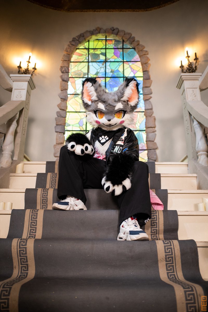 #FursuitEveryday 
“时间会磨灭许多东西，但勇气的光芒永远不会暗淡”

📷：<a href="/DreameoL85783/">米欧Dreameo</a>