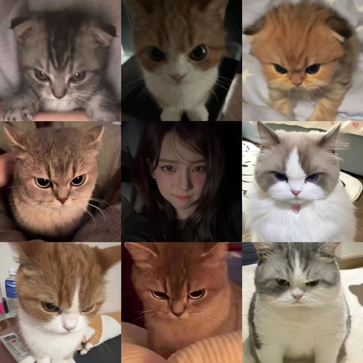 ขี้งอน (｡•̀ ⤙ •́ ｡ꐦ) !!!