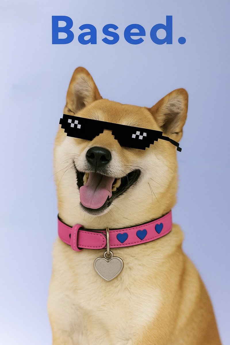 100% Based. 100% Kind. 😎💙 

$DOGEGF <a href="/base/">Base</a> #BeKind #KindnessMatters