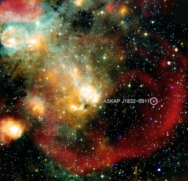 ShafiqKahttak's tweet photo. 🚨 NEW:
Astronomers have discovered a bizarre cosmic object firing strange signals toward Earth every 44 minutes.
🛰️ It’s unlike anything we've seen before.
They’ve named it: ASKAP J1831-0911
#ASKAP https://t.co/vt2iXOu5nn