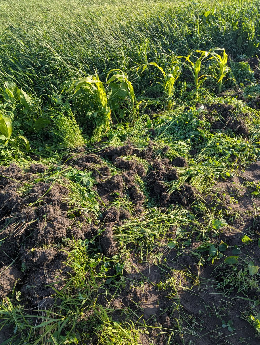 Потрогав травичку