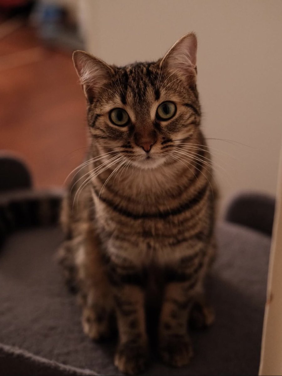 danitwithere's tweet image. Nana 🥹