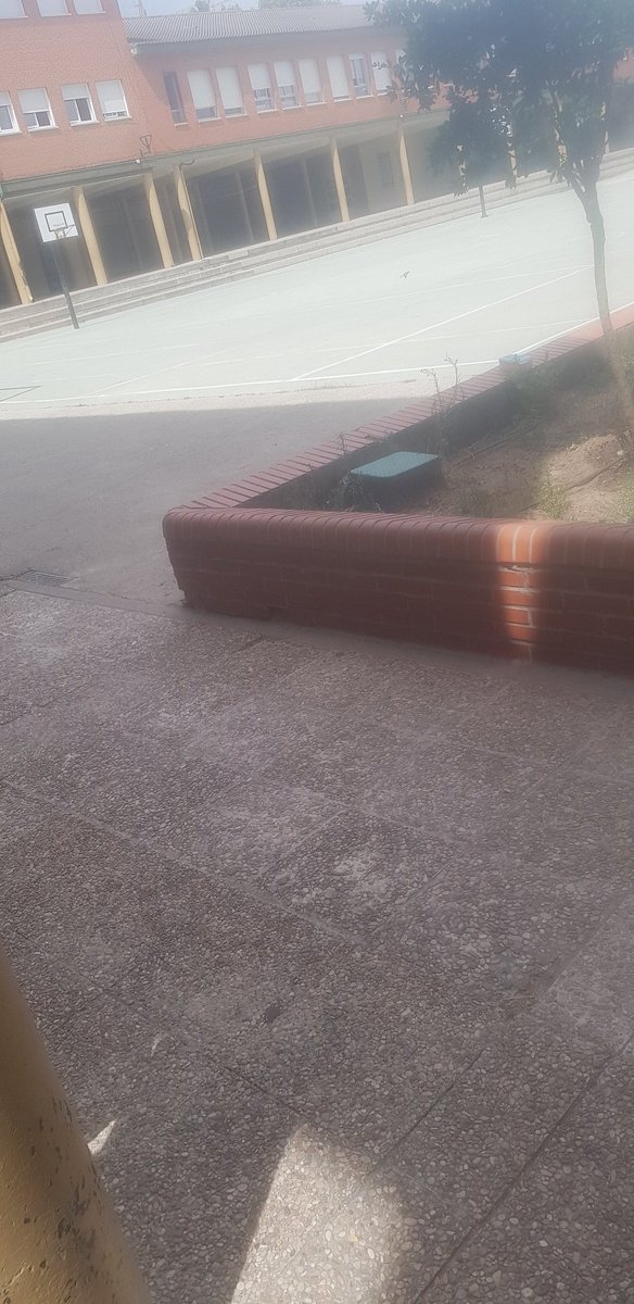 La infinita suerte de poder trabajar con niños y niñas😻