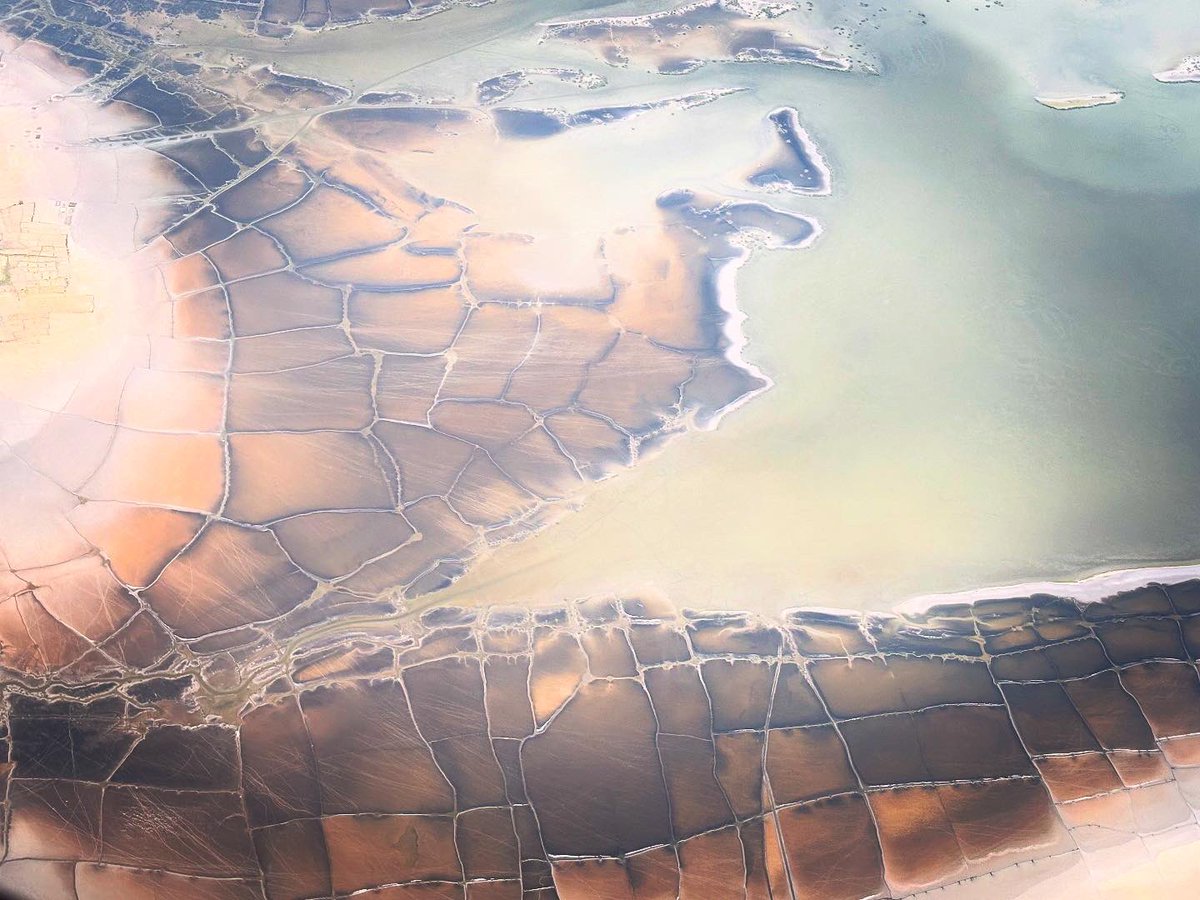 Antoine Michon tweet media