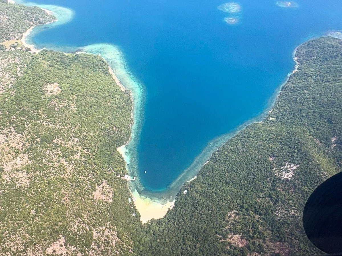 Antoine Michon tweet media