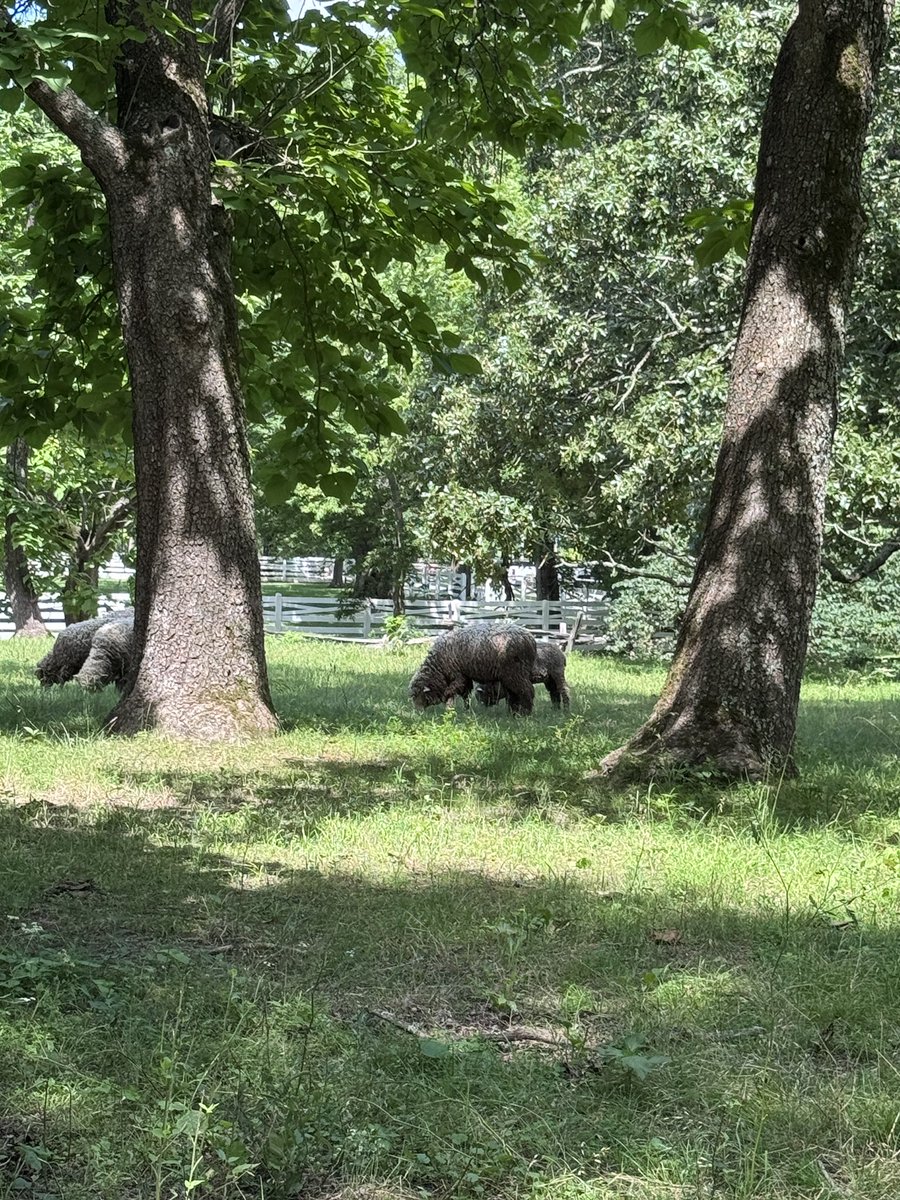 ChaBanks's tweet photo. You all might be at the Thunder parade today, but you really wish you were living your best farm boy life with me. https://t.co/Q3Ba1QeKDv