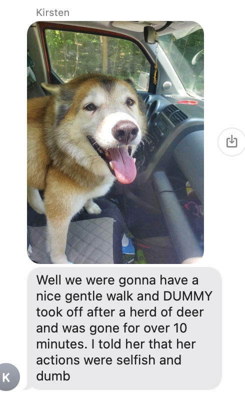 Jonah Goldberg tweet media