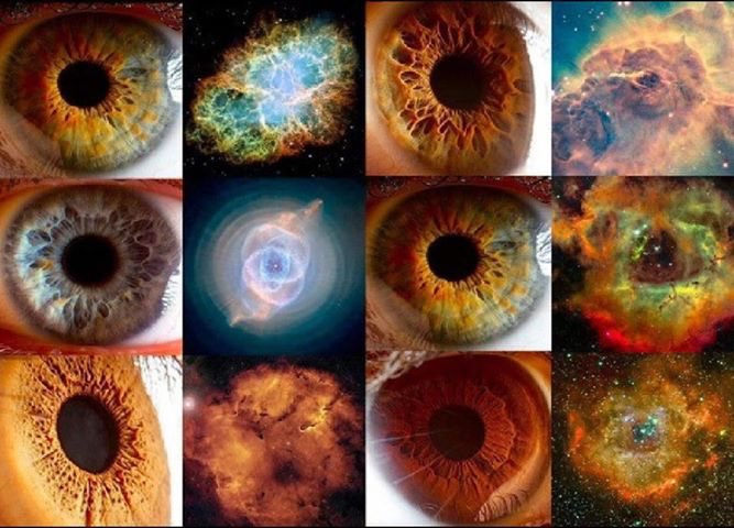 JuanBenson's tweet photo. Our irises. Have you ever wondered why they resemble the classic image of a black hole? The similarity is striking. It's as if we mirror the cosmos itself. Our eyes are black holes of perception, absorbing light and information. https://t.co/1qIv6E1eex