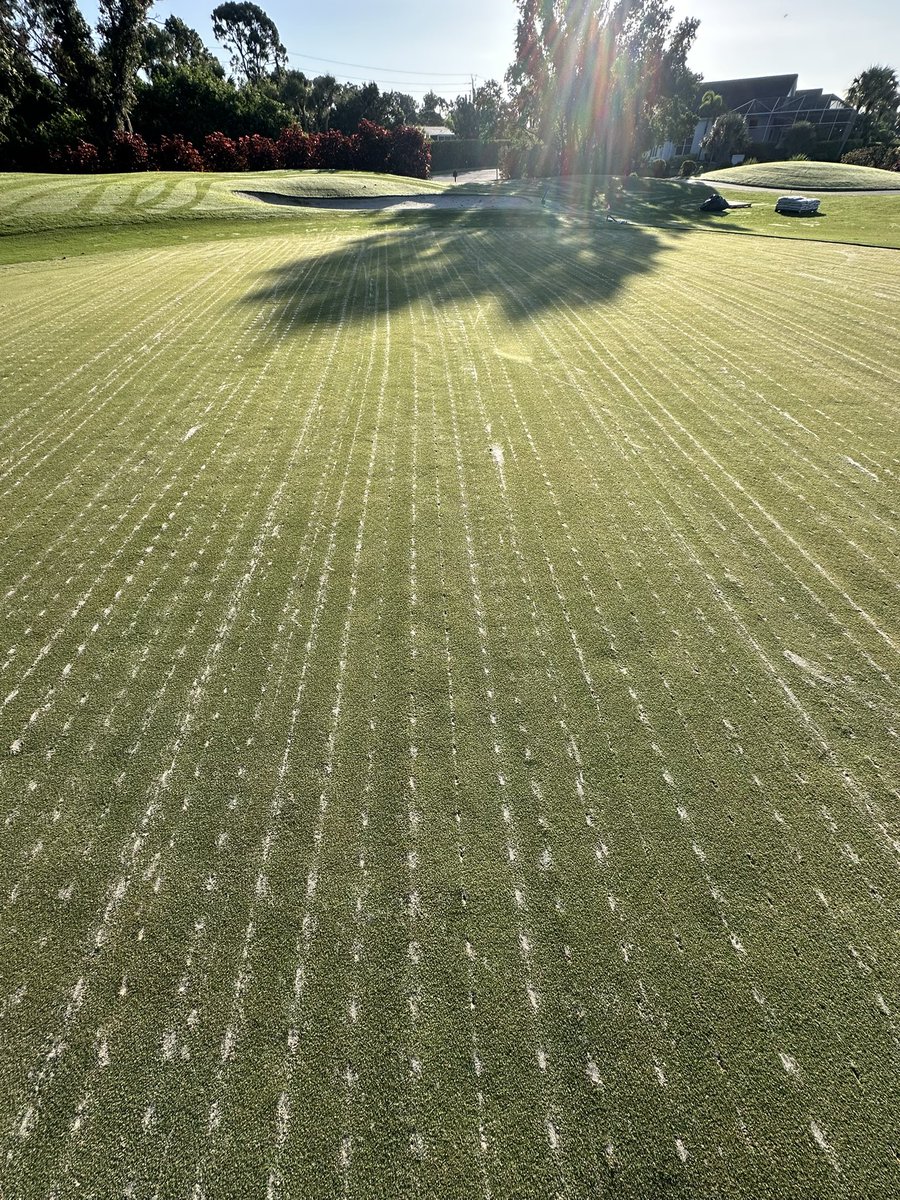 Frank E Sbarro (@fesbarro) on Twitter photo Working in South Fla on some push-up greens. This superintendent chose Maximus for deep sand injection with minimal disruption <a href="/Chase_DryJect/">Chase Sbarro</a> Working in South Fla on some push-up greens. This superintendent chose Maximus for deep sand injection with minimal disruption <a href="/Chase_DryJect/">Chase Sbarro</a>