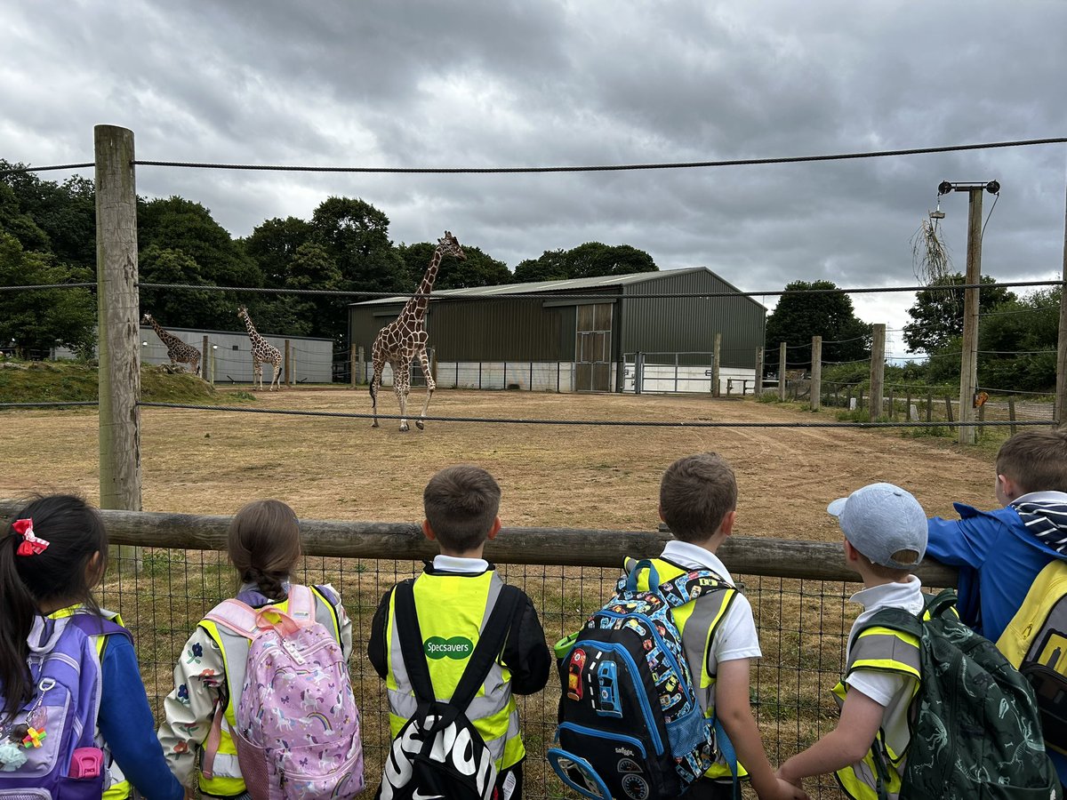 Mini Grey Class tweet media