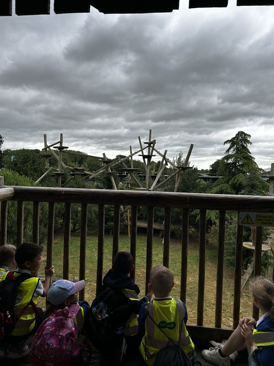 Mini Grey Class tweet media