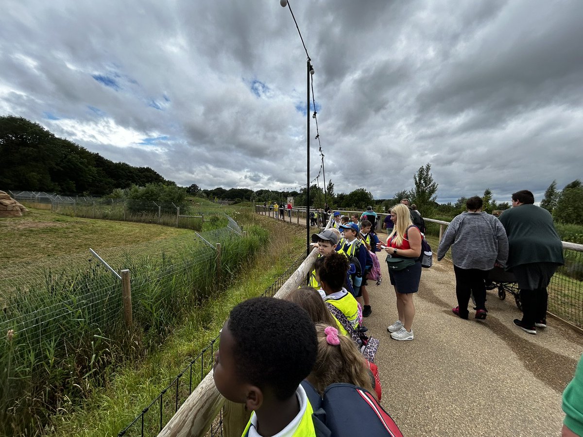 Mini Grey Class tweet media