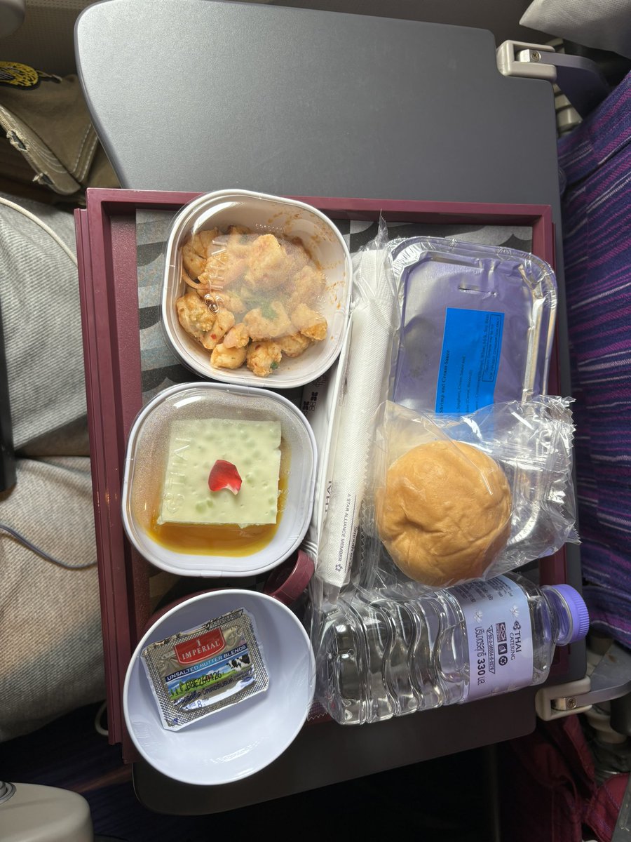 Only the mango 🥭 pudding was good nothing else <a href="/ThaiAirways/">Thai Airways</a>