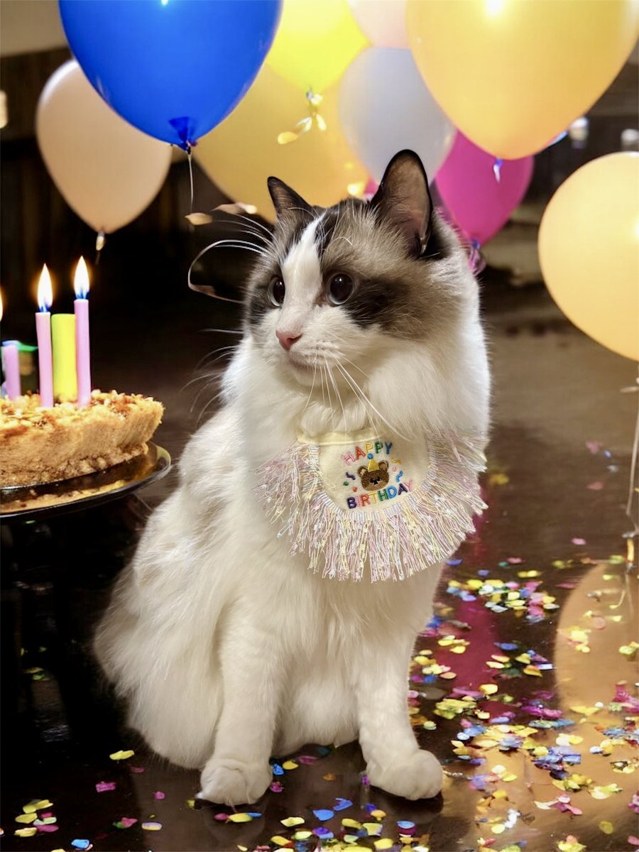 ragutaro_rag's tweet photo. らぐ太郎3歳の誕生日です🎂
一緒に長生きしような～！
風船とか用意できないから背景は合成で😂 https://t.co/kZeNi5fgJI