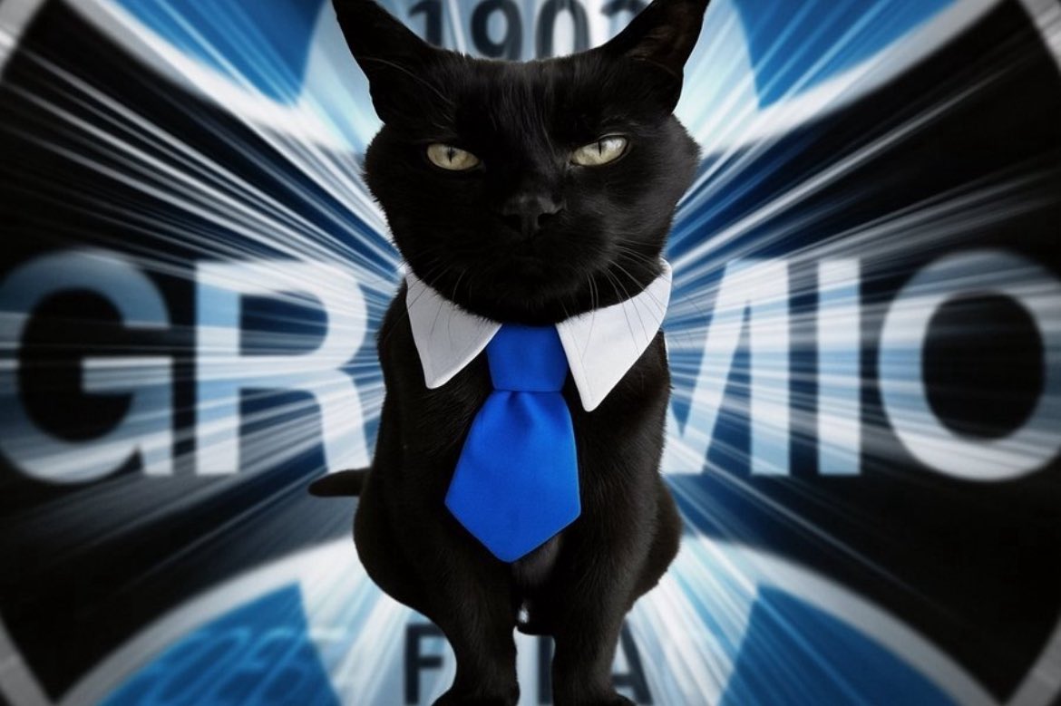 GauchoIF's tweet photo. @PepitoTheCat Muito Grêmio!!!! 🇪🇪🇪🇪🇪🇪 https://t.co/IVs3MYxHXC