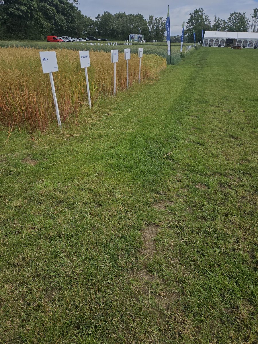 Cooney Furlong Grain (@cooneyfurlong) on Twitter photo What a great day at the Seedtech open day at their trial site in Co. Waterford 🌾
Some really interesting talks on varieties and insightful chats from experts such as Neil Fuller on cover crops & plant nutrition
#cooneyfurlonggrain <a href="/seedtechnology/">Seed Technology Ltd</a> What a great day at the Seedtech open day at their trial site in Co. Waterford 🌾
Some really interesting talks on varieties and insightful chats from experts such as Neil Fuller on cover crops & plant nutrition
#cooneyfurlonggrain <a href="/seedtechnology/">Seed Technology Ltd</a>