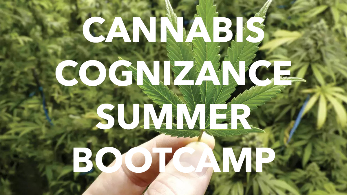 🧠 CT's cannabis law, business, and policy has changed! Get caught up! 
TUESDAY
JULY 15, 2025
8:00-11:00AM
 mailchi.mp/125e021ef1ac/w…