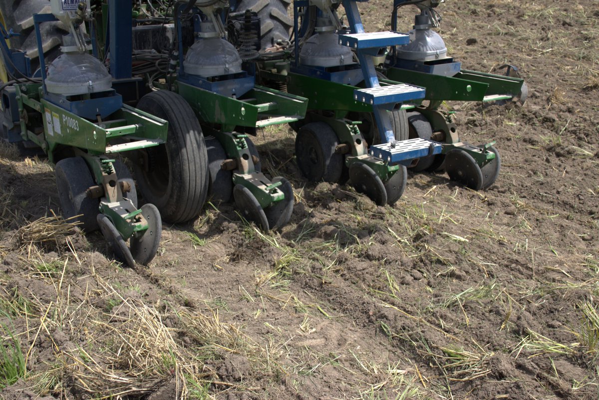The last trial of the season is on the ground. 

#europeancornborer #corn 

<a href="/MizzouIPM/">Mizzou IPM</a>