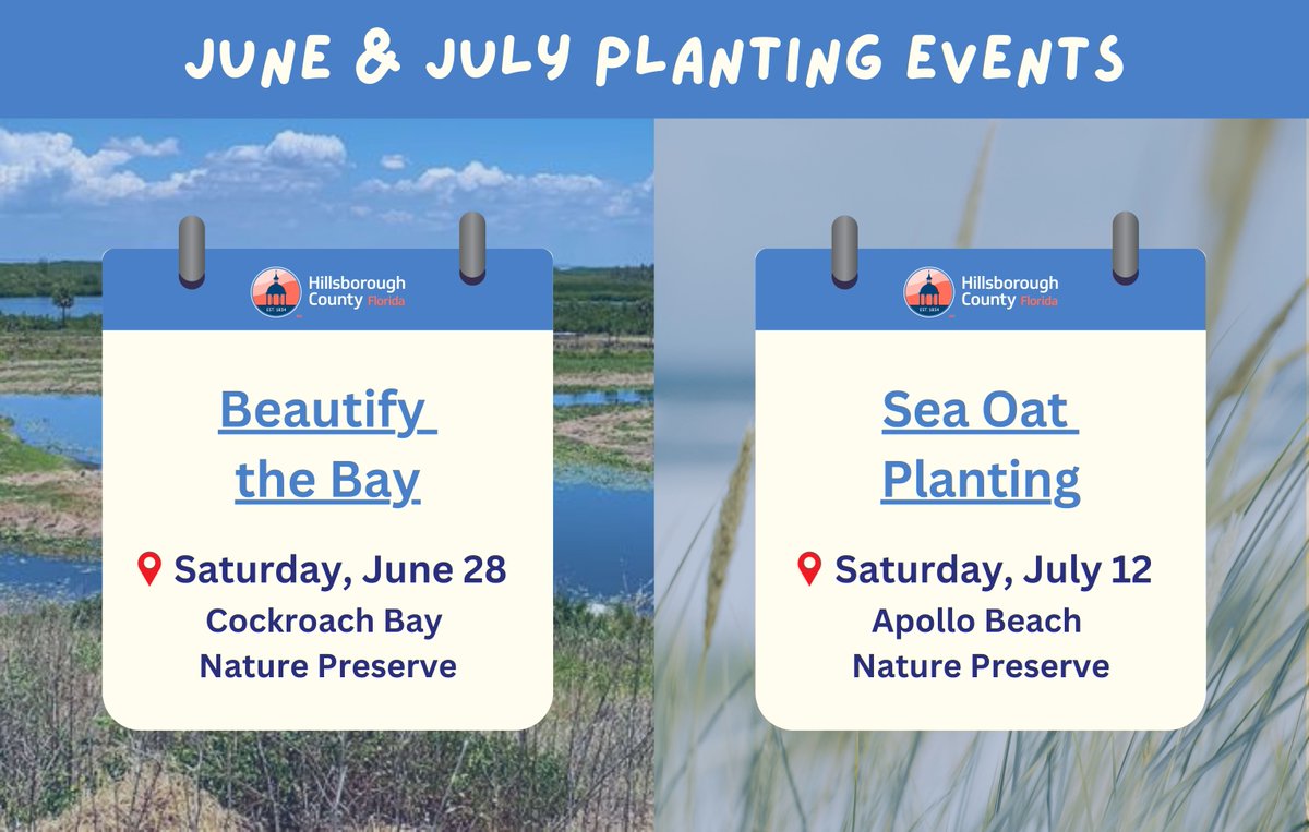 Volunteers needed for our upcoming planting events! 👩‍💻 Register online to join: 

🌊 Beautify the Bay at Cockroach Bay Nature Preserve. → bit.ly/4kMabFl

🌾 Sea Oat Planting at the Apollo Beach Nature Preserve. → bit.ly/44eGFkG