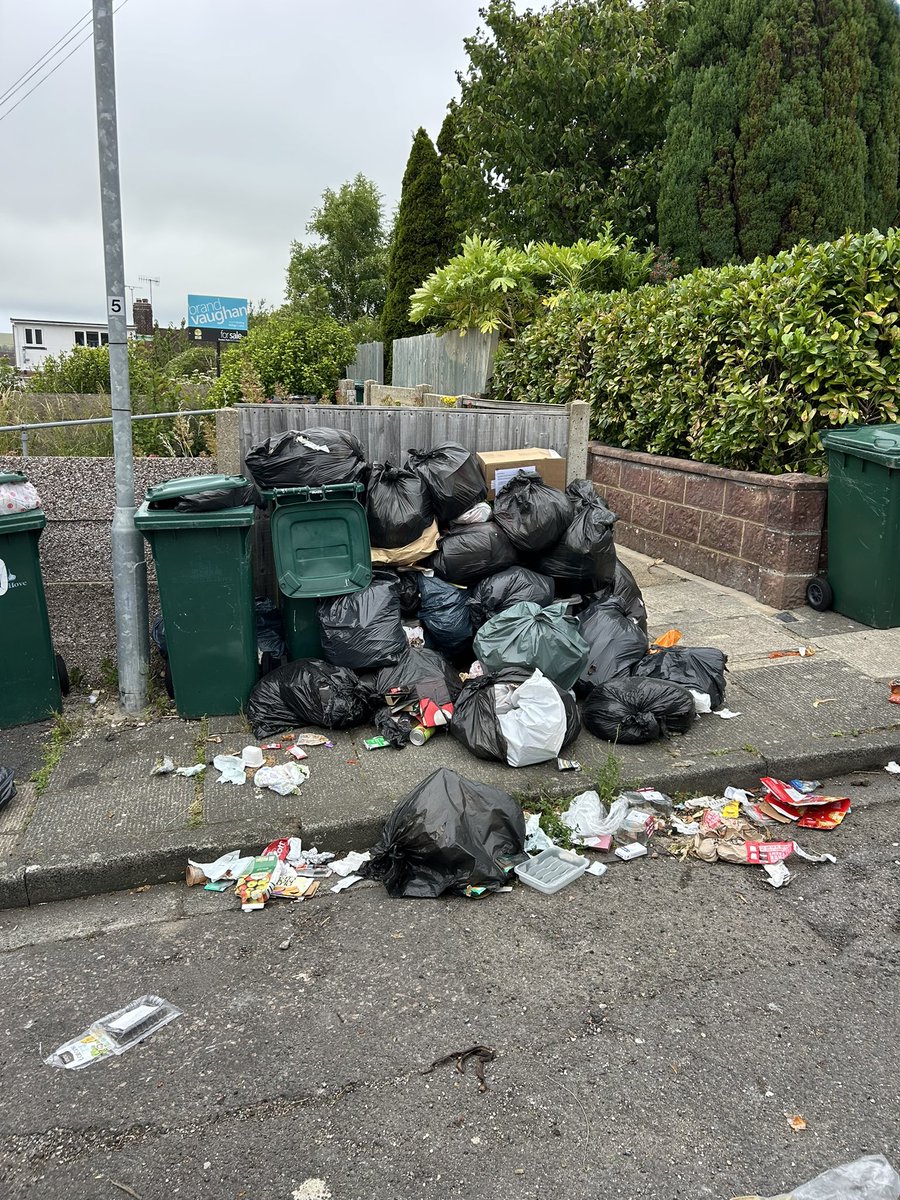 Chris Doogan tweet media