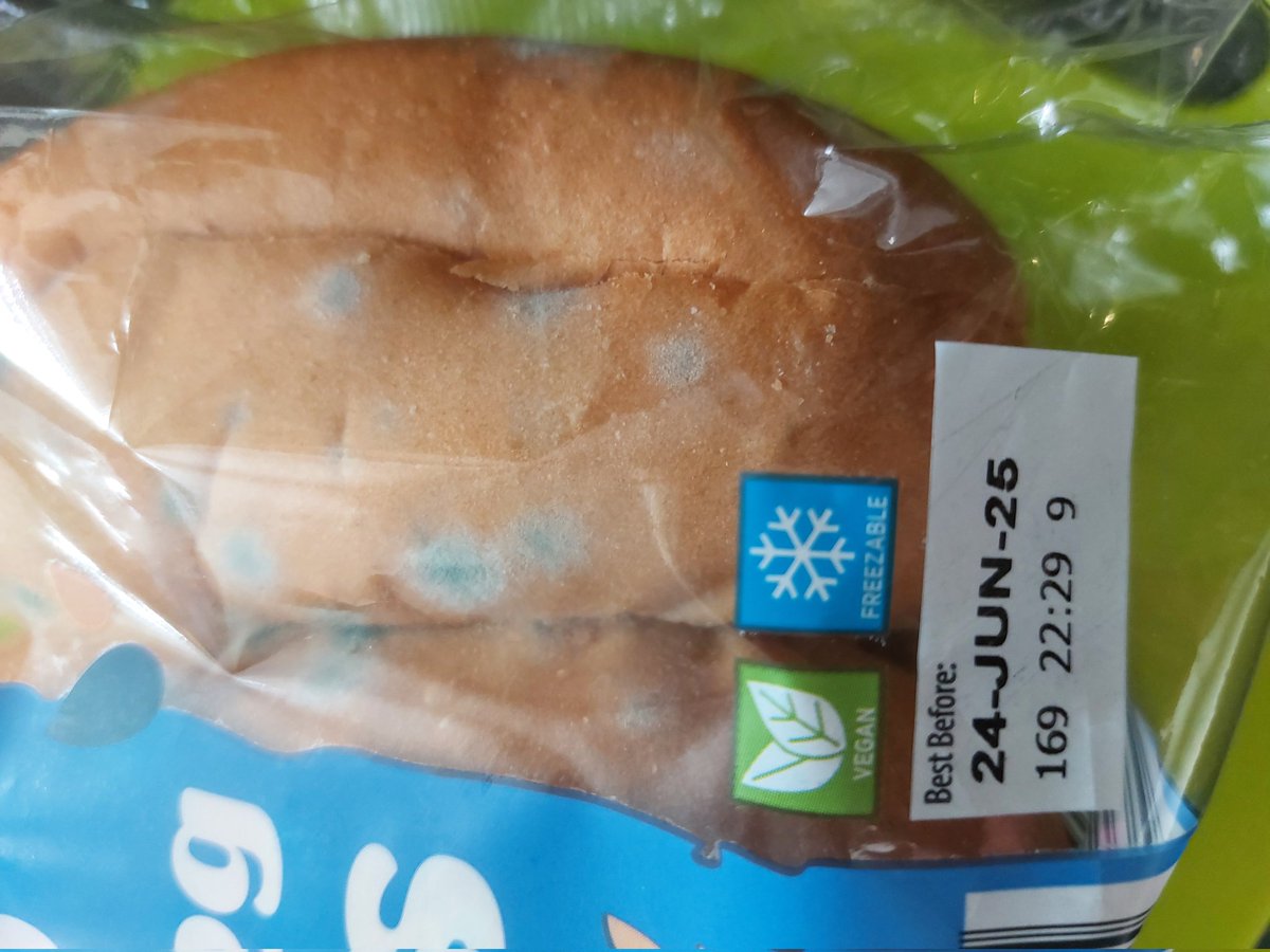 SeasiderSarah's tweet photo. @AldiUK Just got these hot dog buns out of my bread bin where they have been,unopened, since purchased last Friday. The Best By date on them is today, 24th June, is this acceptable?? #mouldybuns https://t.co/Gl0TzYvpUz