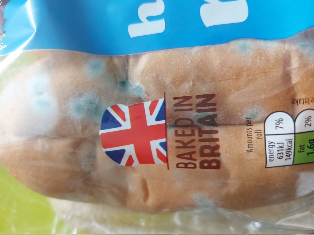 SeasiderSarah's tweet photo. @AldiUK Just got these hot dog buns out of my bread bin where they have been,unopened, since purchased last Friday. The Best By date on them is today, 24th June, is this acceptable?? #mouldybuns https://t.co/Gl0TzYvpUz