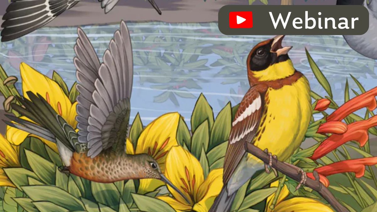 🐦🌍 This spring, hundreds of participants from around the globe explored "Shared Spaces: Creating Bird-Friendly Cities and Communities." 
Missed a session? All past webinars are available on our YouTube channel! Link in bio!