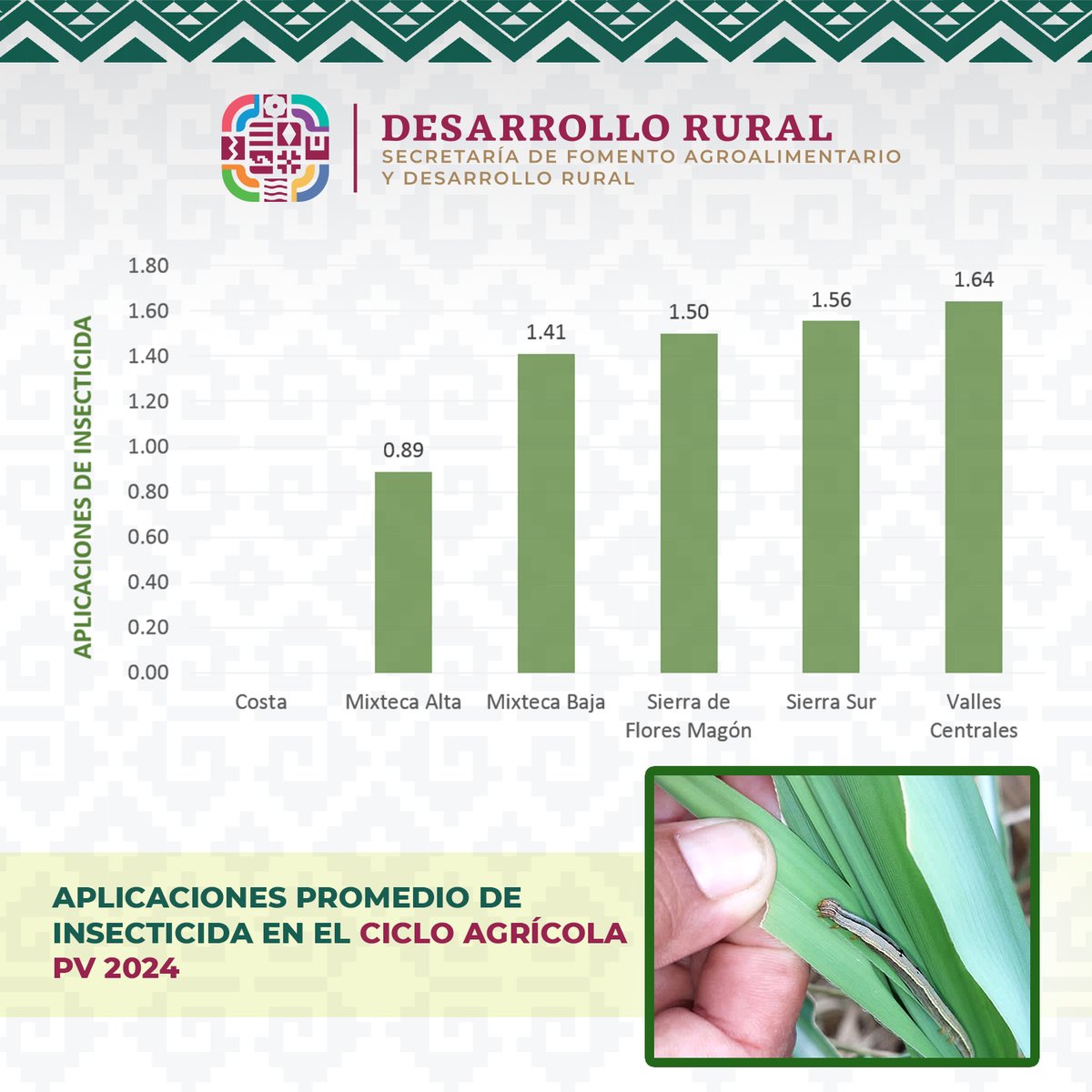Utilizamos métodos que no dañan el medio ambiente y promuevan la biodiversidad para controlar plagas.