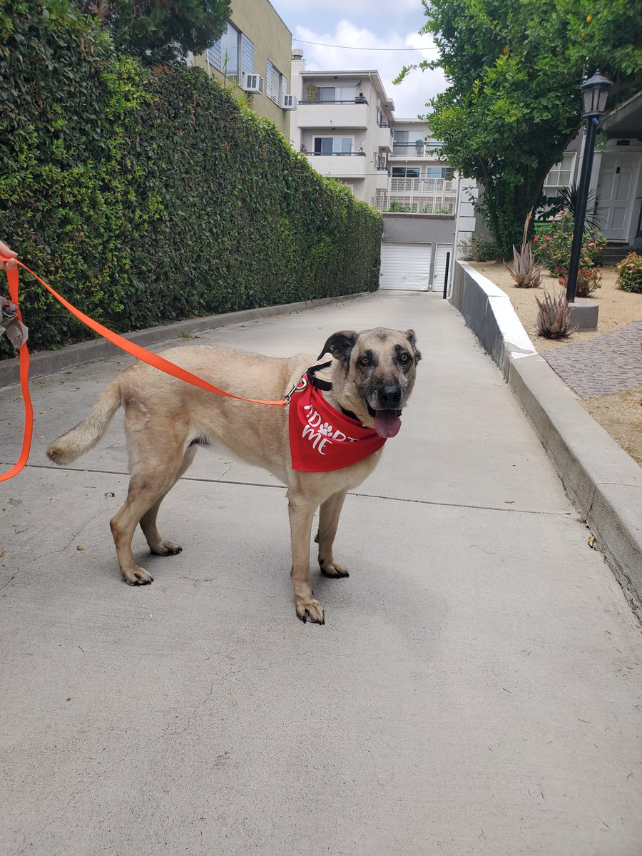 ABC7 Community tweet media