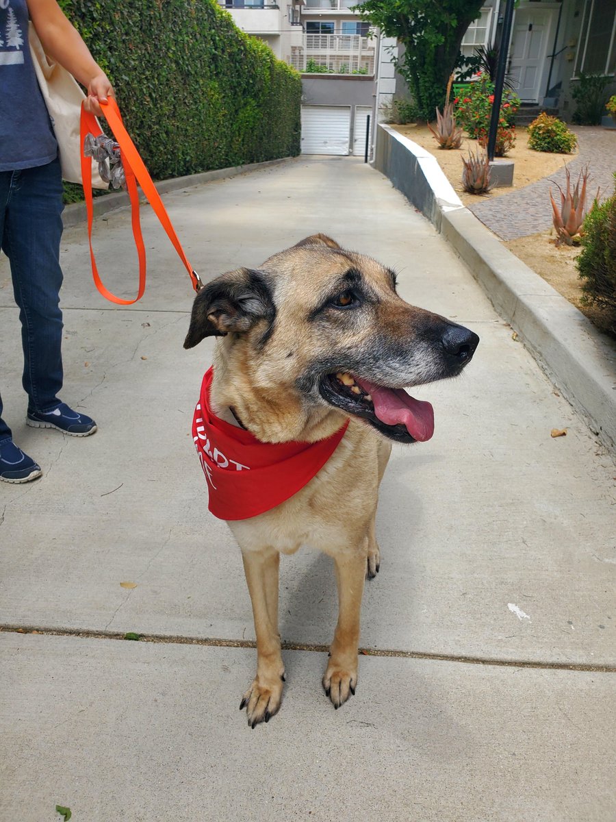 ABC7 Community tweet media