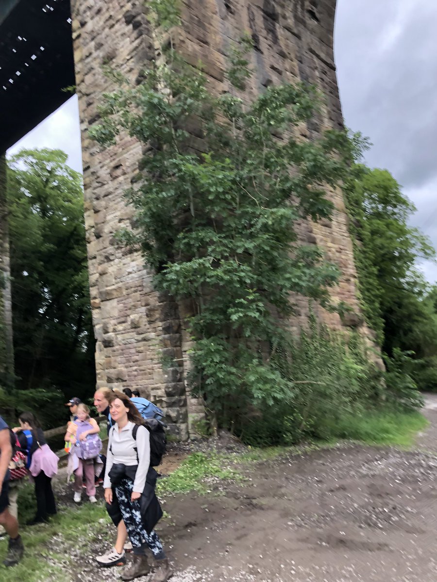 #ffpsoutdoors #ffpsyear4 4GG out and about in Mellor