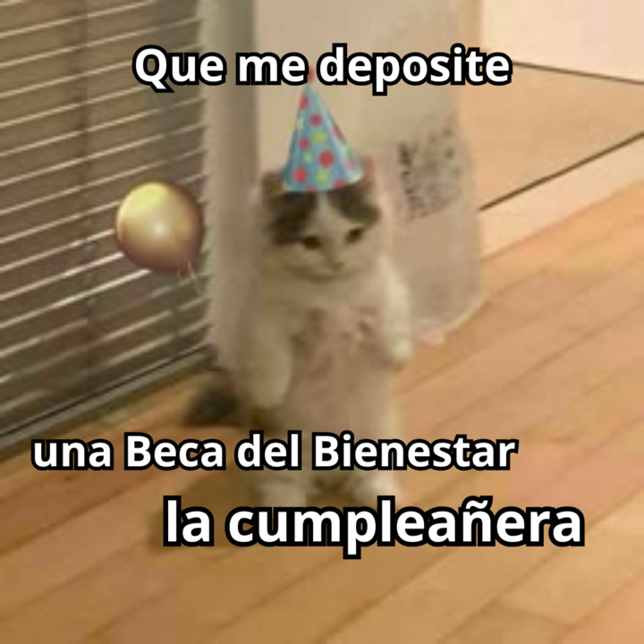 vela59948's tweet photo. Nuestra PresidentA favorita cumple años el día de hoy. ¡Muchas felicidades @Claudiashein! Espero mi beca cuando puedas jeje https://t.co/pkRvHP6fWC