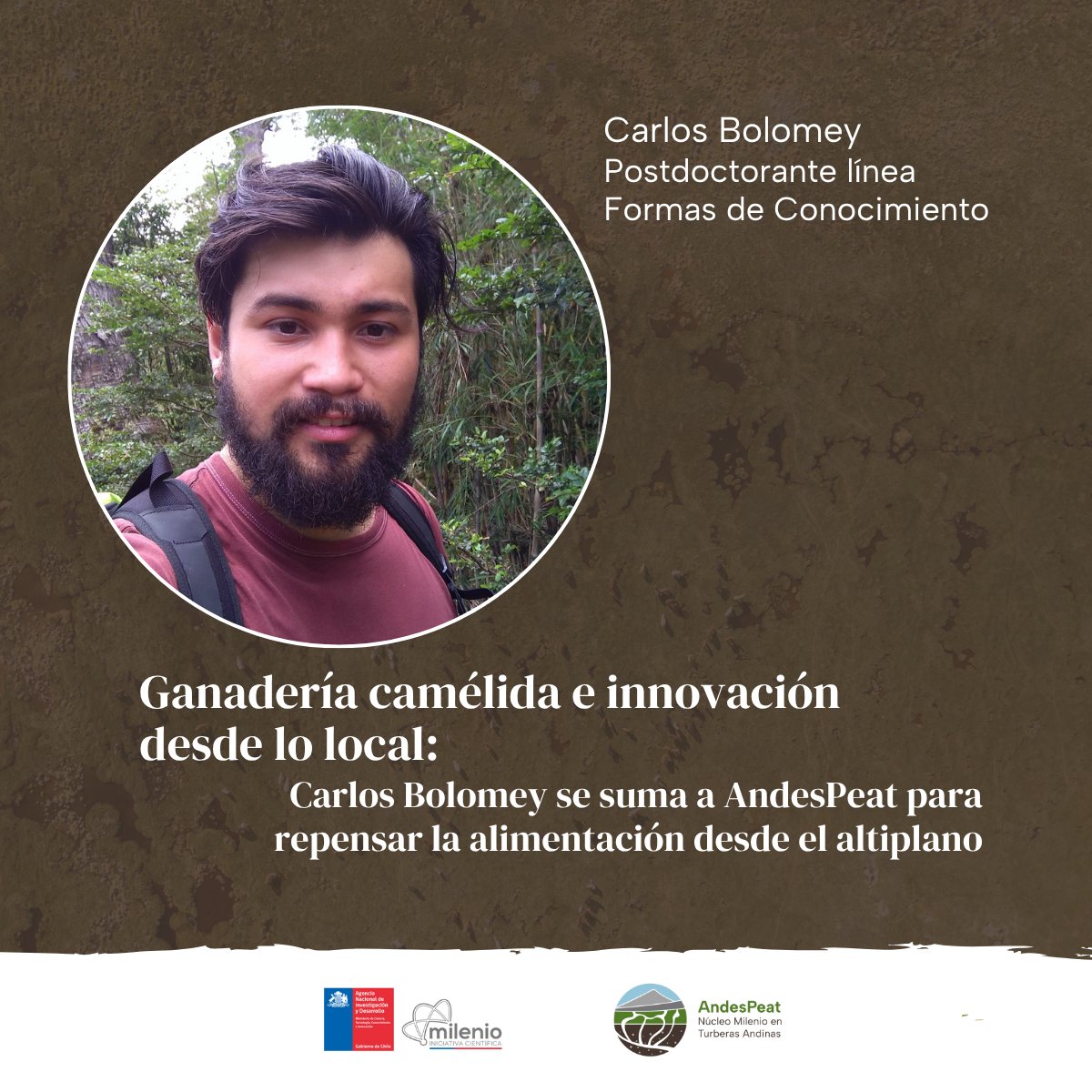 AndesPeat's tweet photo. 🦙 Carlos Bolomey se suma a #AndesPeat para estudiar la ganadería camélida indígena como alternativa a los sistemas alimentarios intensivos.
Un enfoque desde el #altiplano para repensar el futuro de la alimentación 🌱
🔗 https://t.co/ttT4li4WTs 
#Agroecología #GanaderíaCamélida https://t.co/Jp7iR3ZwXV