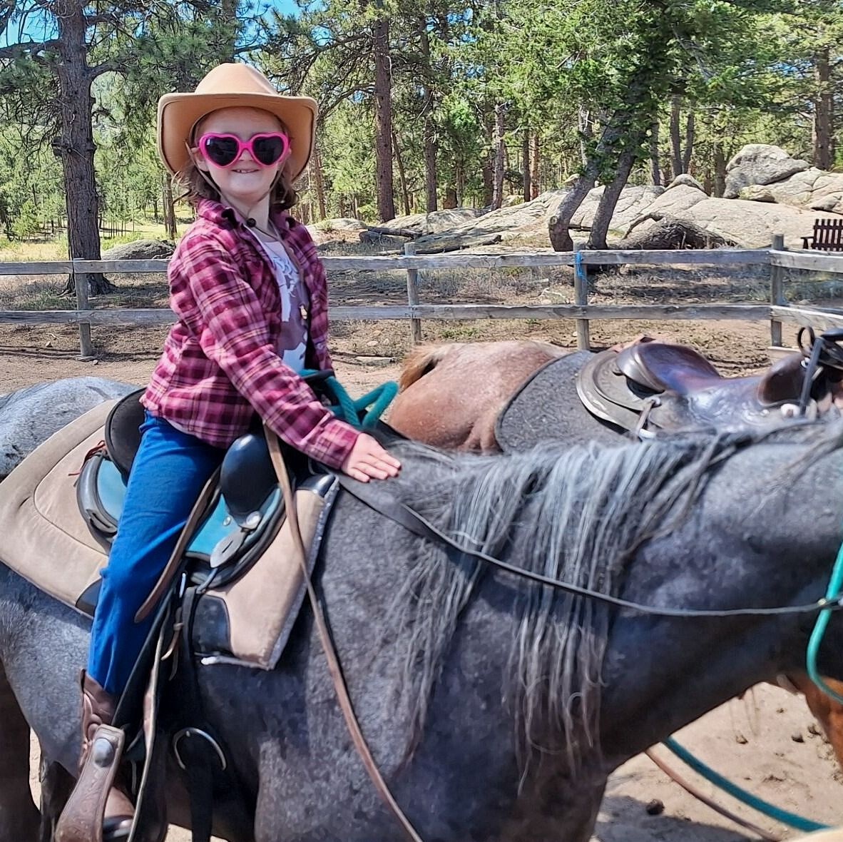 Make-A-Wish Mid-South tweet media