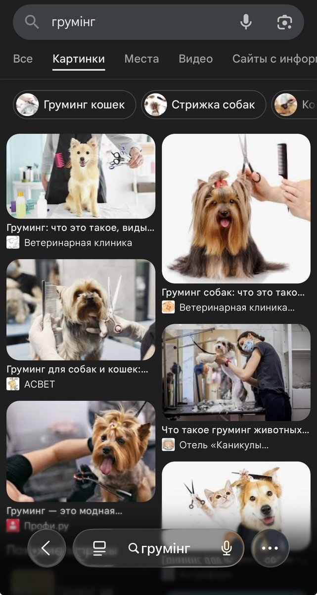 Layka_Boss tweet media
