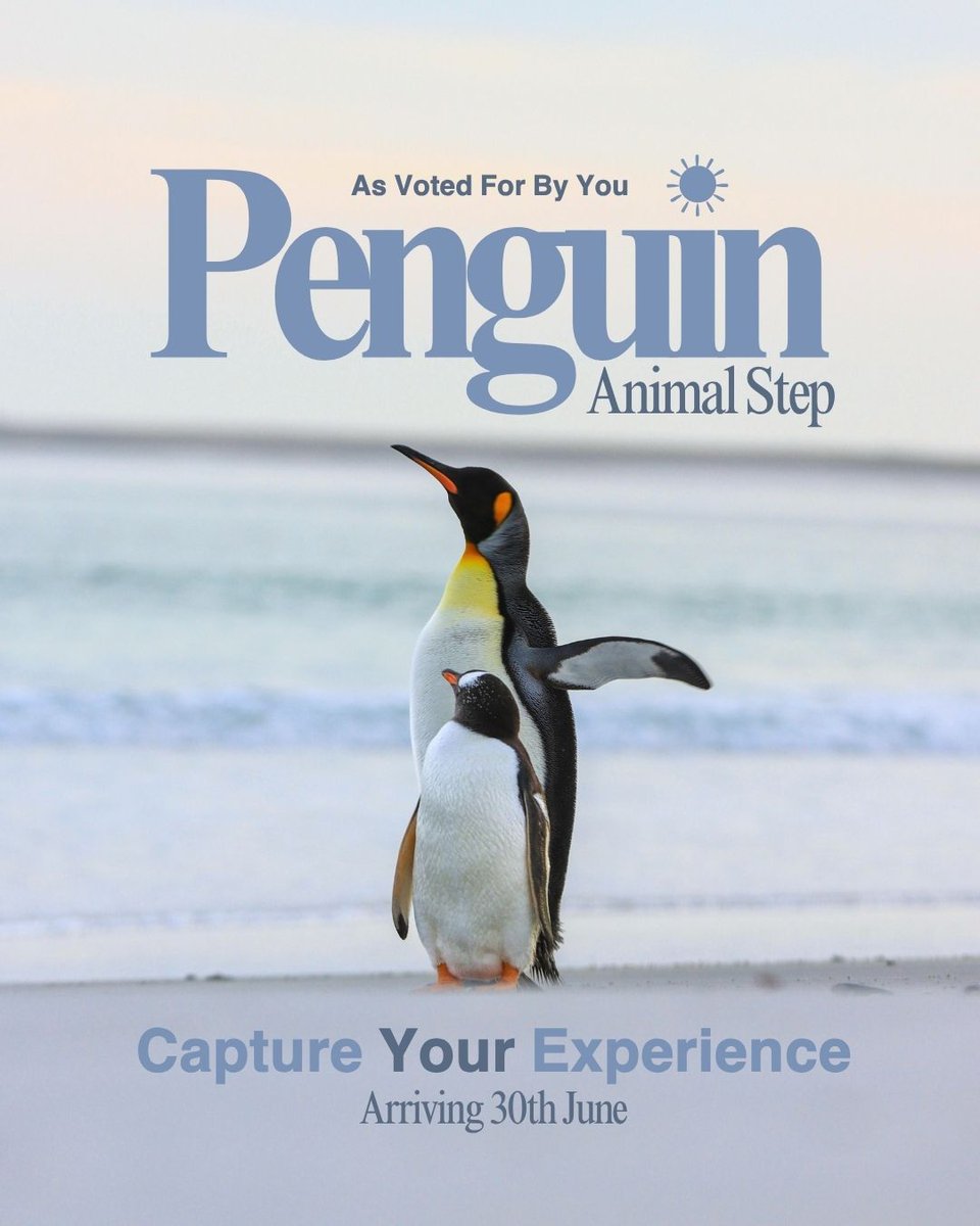 🙌 We are SO excited to announce that the 🐧 Penguin Animal Step is joining 🌎 El Camino on 30th June! So many of you asked for this adorable animal to join your travel story - and it's happening next week! 😍 Have you witnessed these cuties on your travels? 📸 Let us know where!